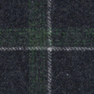 C4-3962596 Navy Green Plaid