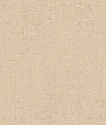 C6-3340020-SWATCH