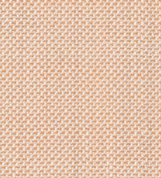 C6-3644079-SWATCH