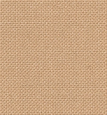 C6-3644144-SWATCH