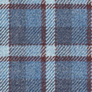 C6-3755181 Lt Blue Brown Check