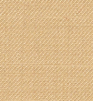 C6-3755188-SWATCH C6-3755188 Tan Solid