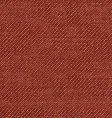 C6-3755199-SWATCH C6-3755199 Rust Solid