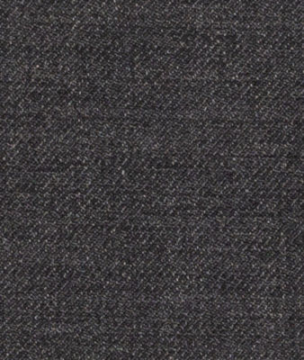 C6-3755205-SWATCH C6-3755205 Graphite Solid