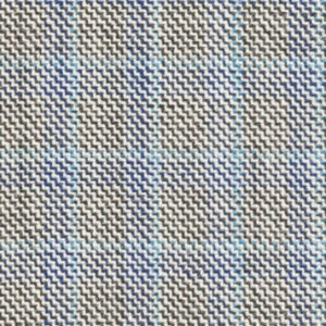 C6-3755223 Lt Grey Blue Check