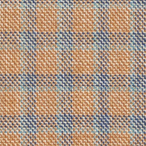 C6-3755224 Carmel Blue Check