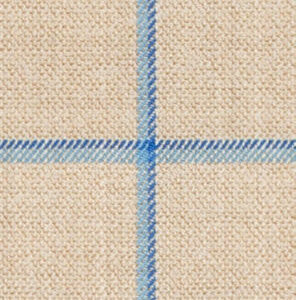 C6-3858333 Tan Blue Windowpane