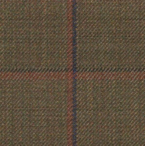 C6-3858337 Olive Rust Windowpane
