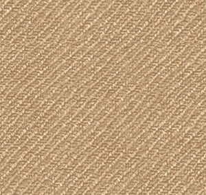 C6-3858364 Tan Solid