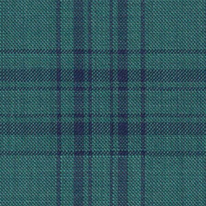 C6-3858373 Spruce Green Navy Plaid