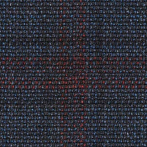 C6-3858397 Navy Red Plaid