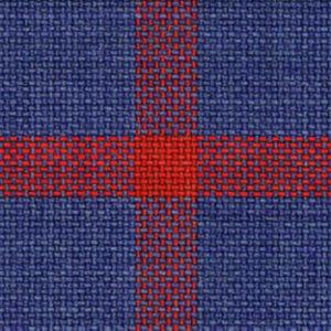 Navy Red Windowpane