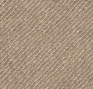 Taupe Solid