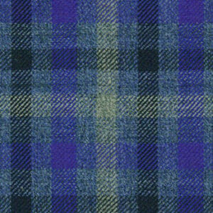 Navy Blue Check
