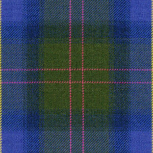 Blue Olive Check