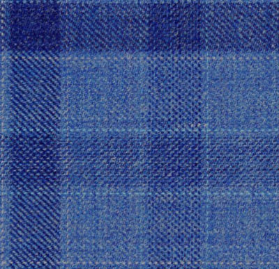 C6-4074232-SWATCH