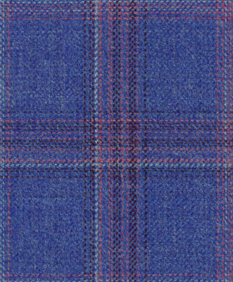 C6-4074236-SWATCH Blue Pink Plaid