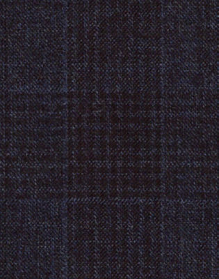 C9-4072379-SWATCH