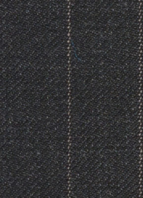 E1-3642408-SWATCH
