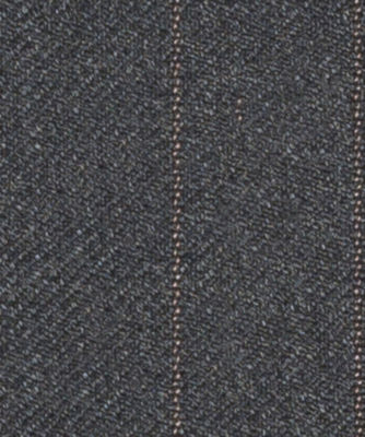 E1-3642421-SWATCH