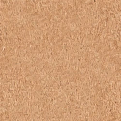 K1-3754955 Camel Solid