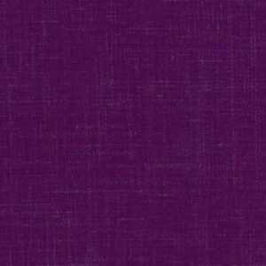 Purple Solid