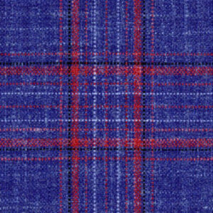 Navy Red Plaid