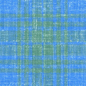Lt Blue Lime Check
