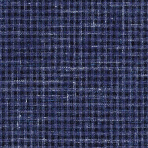 Navy Check