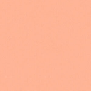 LL-2717960 Salmon
