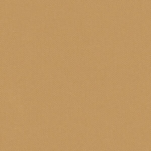 LL-2717975 Camel
