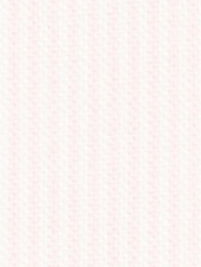 N1-3653403 Pink Broadcloth Stripe