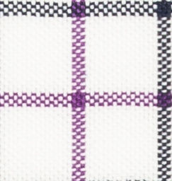 N1-3653422 Violet/Navy Windowpane Oxford