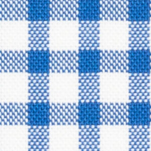 N1-3653432 Blue Windowpane