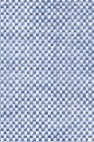 N2-3752917 Blue Pinpoint