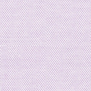N2-3752923 Lavender Pinpoint
