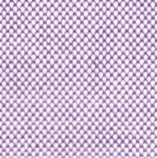 N2-3752924 Violet Pinpoint