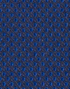 N2-3753997-SWATCH N2-3753997 Navy/Royal Oval Dobb