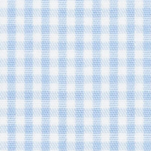 N2-3754070 Lt Blue Gingham Check
