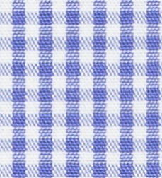 N2-3754071 Blue Gingham Check
