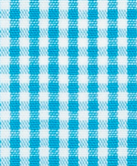 N2-3754075-SWATCH N2-3754075 Aqua Gingham Check