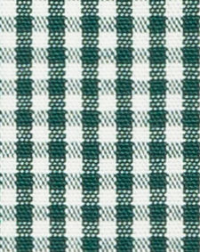 N2-3754076 Evergreen Gingham Check