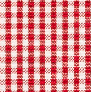 N2-3754077 Red Gingham Check
