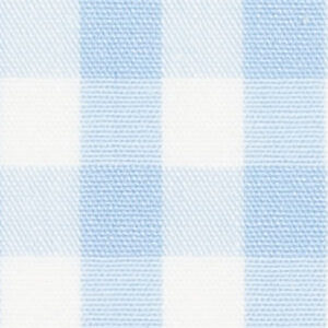N2-3754091 Lt Blue Club Check