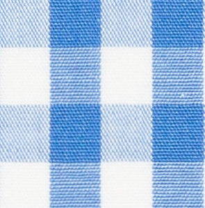 N2-3754092 Blue Club Check