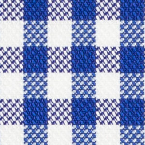 N2-3754096 Navy Oxford Check