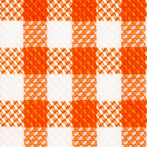 N2-3754098 Orange Oxford Check