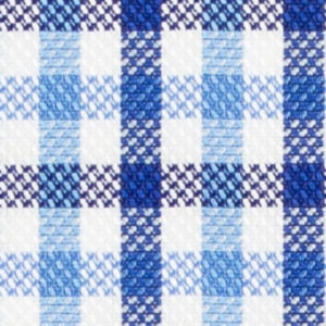 N2-3754100 Lt Blue/Navy Oxford Check