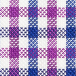 N2-3754103 Violet/Navy Oxford Check