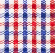 N2-3754107 Red/Blue Tattersall